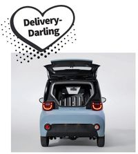 Avantier C Delivery-Darling